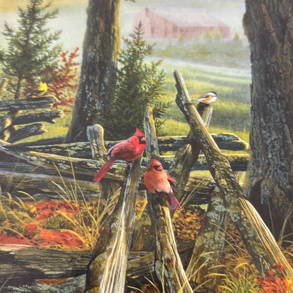 1000 piece Springbok puzzle - Picture 4 of 4